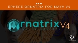 Ephere发布了Ornatrix Maya v4版 新增GraftGroom预设系统