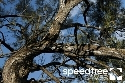 SpeedTree Games Enterprise植物游戏建模软件V9.0.0版