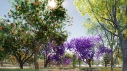 90种大洋洲澳大利亚新西兰高质量树木植物3D模型合集