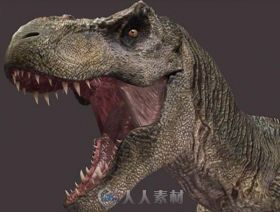 34个恐龙3D模型
