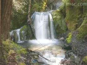 一组自然唯美的山川树林小溪流水特写标清实拍视频素材