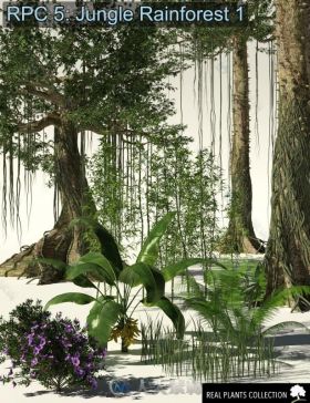 现代大自然丛林雨林植物和树木3D模型合辑