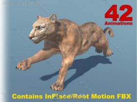 美洲狮哺乳动物角色模型Unity3D素材资源