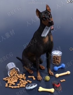 动物狗咀嚼磨牙道具3D模型合集