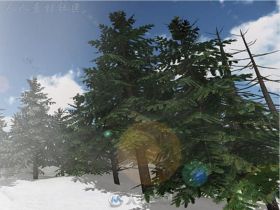 详细的松树植物模型Unity3D素材资源