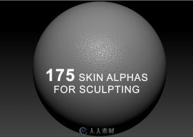 175组皮肤细节雕刻纹理贴图合辑 TEXTURING 175 SKIN ALPHAS FOR SCULPTING