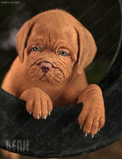 逼真可爱棕色宠物狗姿势3D模型