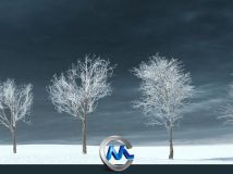 《冬季树木植物3D模型合辑》R&D Group iTrees vol.3 Winter