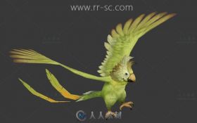 超可爱的小鹦鹉3D模型