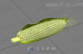 一个青玉米3D模型