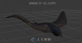 超逼真的燕子3D模型