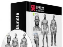 完美男性身体细节3D模型 3D Scan Store Male Anatomy Bundle