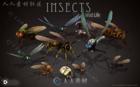 野生动物昆虫生物角色3D模型Unity游戏素材资源