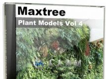 Maxtree完整植物3D模型合辑 Maxtree Complete Collection 3D Plants