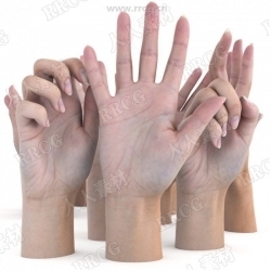 11组超精致女性手掌手臂动作姿势3D模型与贴图