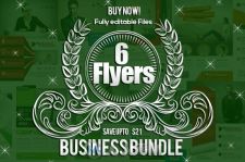6款业务介绍PSD模板6 Business Field Flyers Bubdle