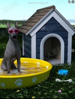 夏季环境动物小狗日常道具3D模型合集