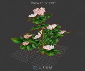 粉嫩的茶花3D模型