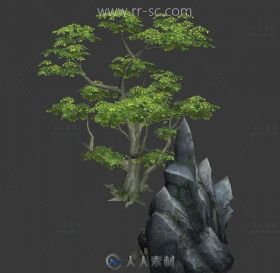 写实风格的树和岩石3D模型