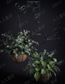 微型花园悬挂花盆茂盛植物吊篮3D模型合集