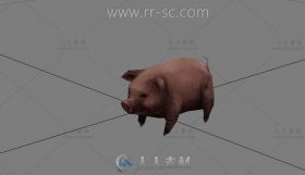 可爱的小家猪3D模型