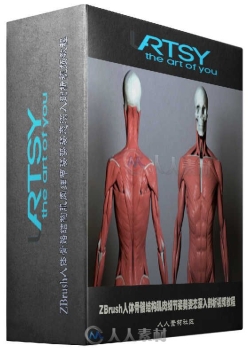 ZBrush人体骨骼结构肌肉细节姿势姿态深入剖析视频教程 Uartsy Artistic Anatomy in...