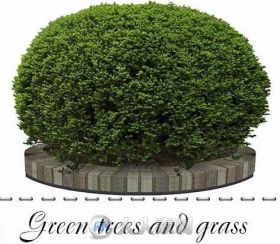 绿树和花草立面第一版PSD模板Green trees and grass PSD