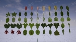 真实感纹理不同形状种类完整程度树叶UE4游戏素材资源