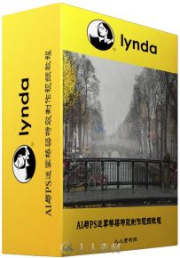 AI与PS迷雾桥梁特效制作视频教程 Lynda Bert Monroy The Making of Amsterdam Mist...