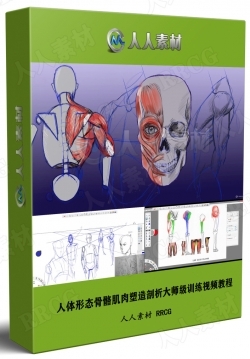 人体形态骨骼肌肉塑造剖析大师级训练视频教程