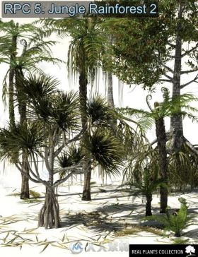 超精细大自然丛林雨林树木3D模型合辑