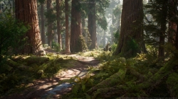 红杉树森林场景环境UE4游戏素材资源