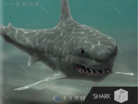 凶猛的大白鲨鱼类动物角色3D模型Unity游戏素材资源