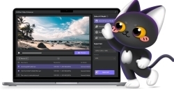 HitPaw Video Enhancer视频增强修复软件V1.5版