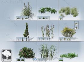 桌面地面封装SpeedTree®植物模型Unity3D素材资源