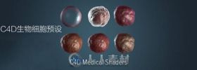 C4D生物细胞预设 Cinema 4D Organic Medical Shader Pack