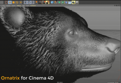 Ornatrix for Cinema 4D BETA测试版已经开始申请 Cinema 4D中也能制作毛发啦
