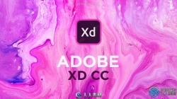 Adobe XD CC交互设计软件V55.1.12.7版