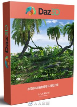 热带雨林棕榈树植物3D模型合辑