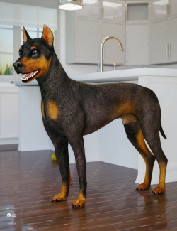 Daz Dog 8狗犬类动物3D模型合集