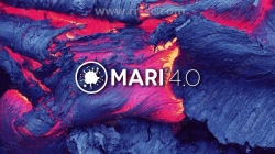 Mari三维纹理贴图绘制工具软件4.5V1版