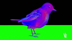 知更鸟的视觉特效解析视频 丰田卡罗拉全新设计广告片