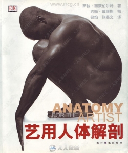 《艺用人体解剖》中文编译版PDF书籍