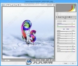 Adobe Camera Raw图像格式调整PS插件V12.3版