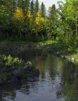 森林曲折河流户外环境场景3D模型合集