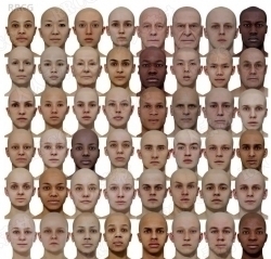 48组男性和女性头部扫描高精度3D模型合集