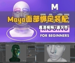 Maya面部绑定装配基础核心技术视频教程