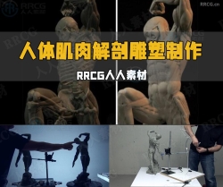 人体躯干肌肉动态解剖粘土雕塑制作视频教程