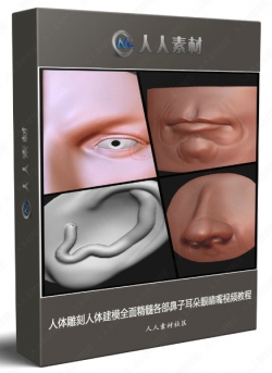 人体雕刻人体建模全面精髓各部鼻子耳朵眼睛嘴视频教程