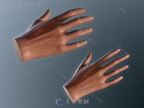 VR女性男性双手3D模型Unity游戏素材资源